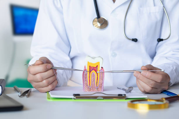 Best Emergency Orthodontic Repairs in White Hall, IL